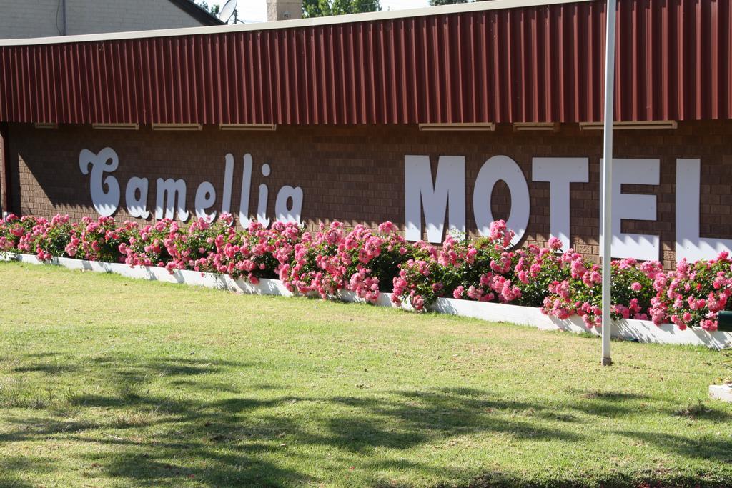 Camellia Motel Narrandera Exterior foto