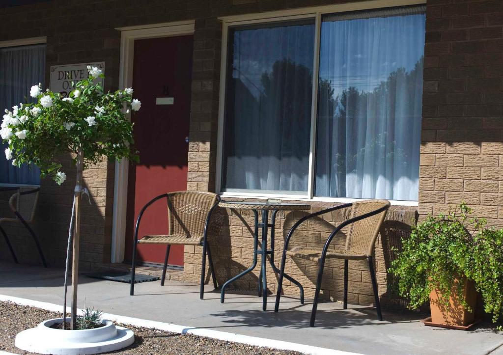 Camellia Motel Narrandera Exterior foto